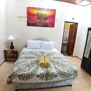 Affittacamere Muka House